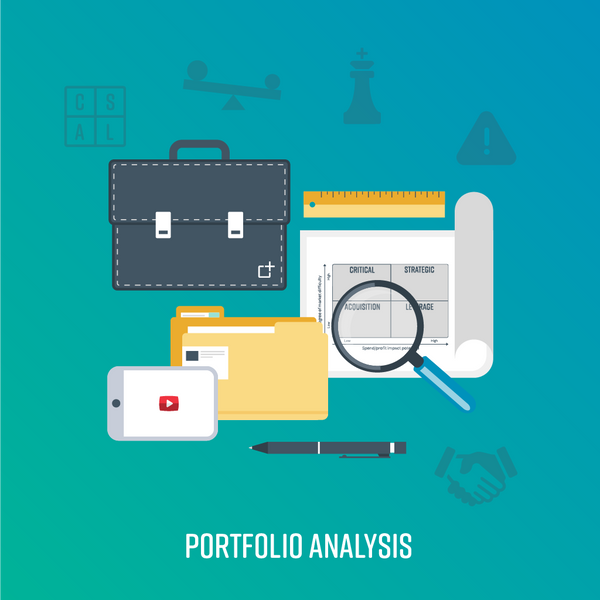 Portfolio Analysis Positive Purchasing Ltd