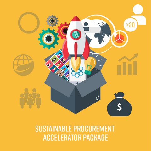 Sustainable Procurement Accelerator Package