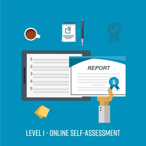 Individual Procurement Competency Assessment tool