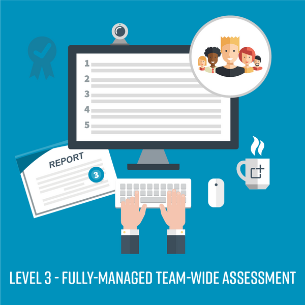 Procurement Team Competency Assessment