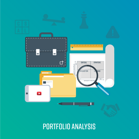 Portfolio Analysis